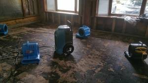 911 Restoration Mold Removal Queens NY